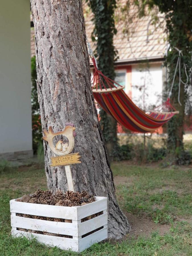 Palicka Oaza 155 Διαμέρισμα Εξωτερικό φωτογραφία
